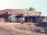 bait_shop_2