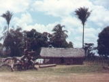 edivars_house