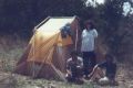 tent_edivar_shari_padua